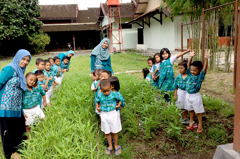 Memanen Kangkung Pra TK dan TK Lazuardi Klaten